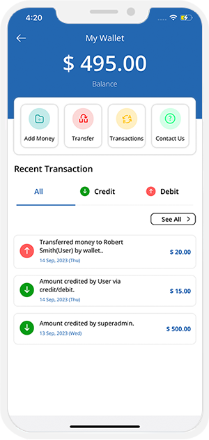 user and provider manage their wallet